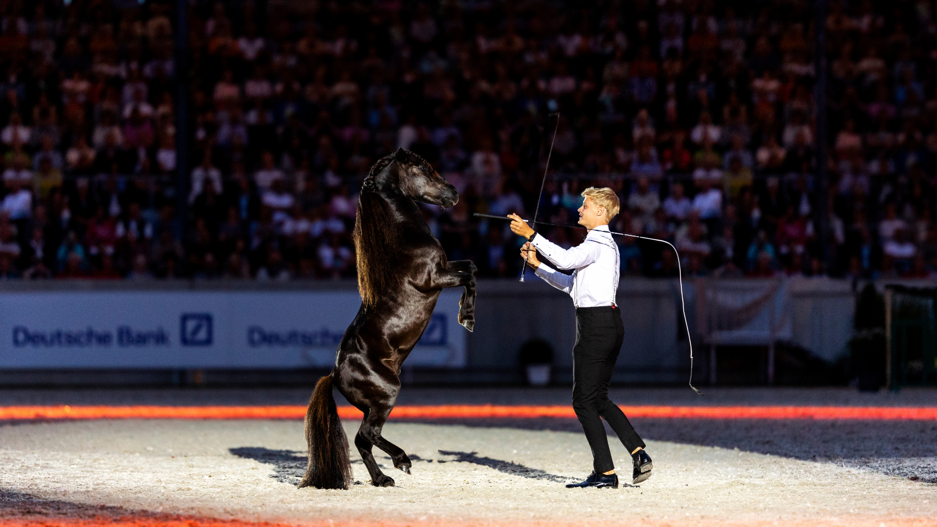 Spectaculair showprogramma voor 10-jarig jubileum Nationaal Hippisch Centrum